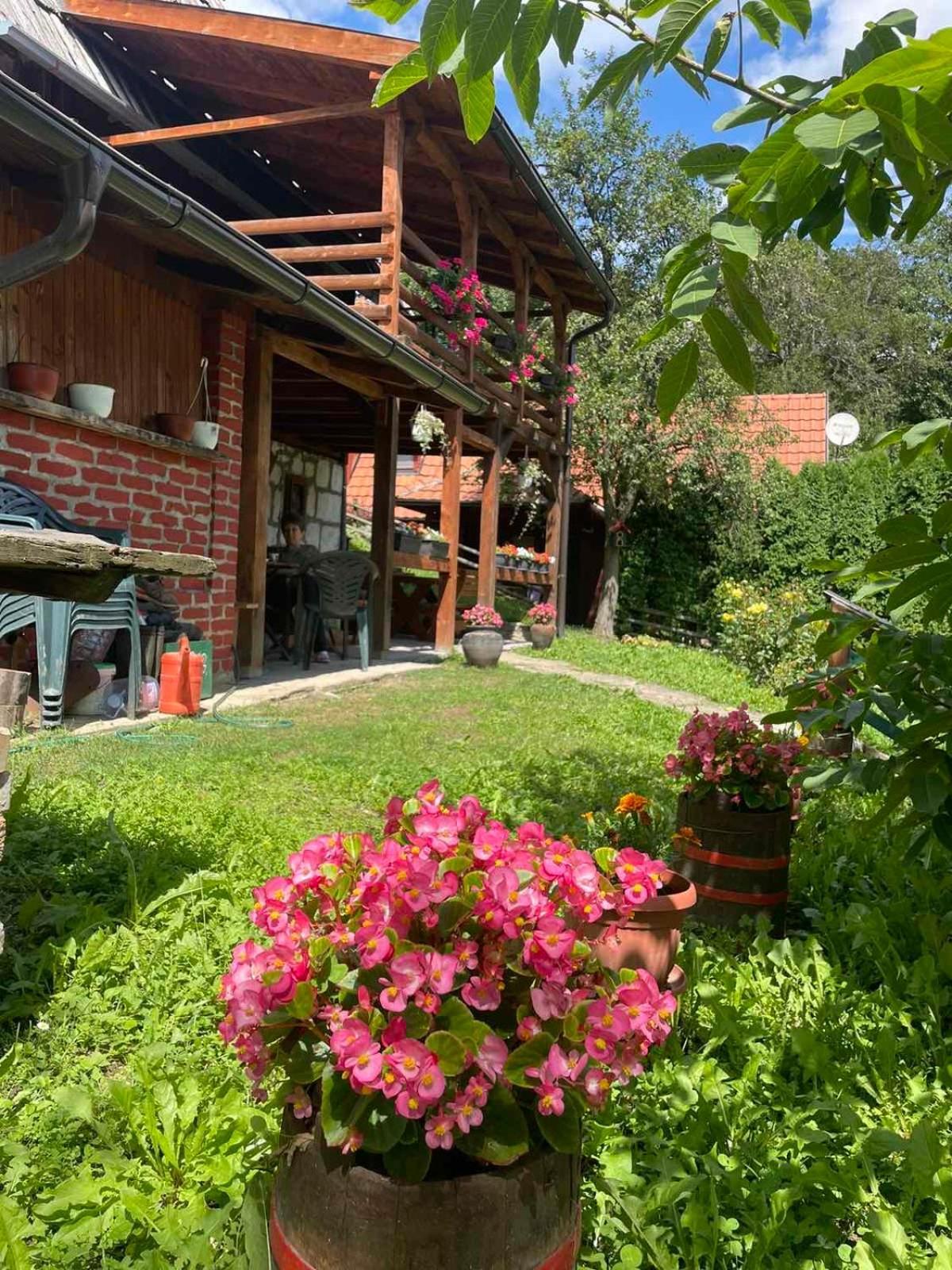 Dedina Kuca 1937 Apartment Мокра гора Екстериор снимка